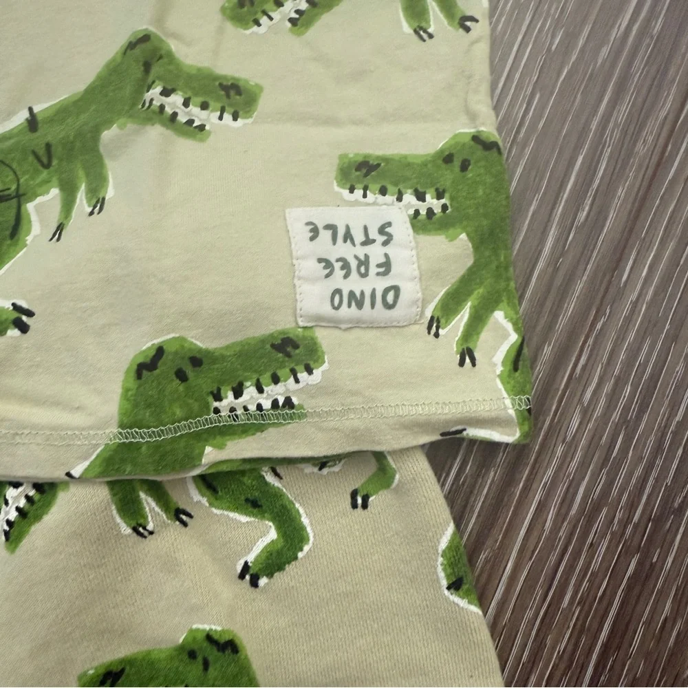 Zara Kids Set with Dinosaur Print Size 5